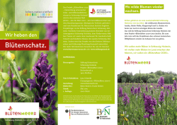 aktuellen Flyer - Stiftung Naturschutz Schleswig