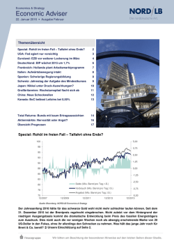 Economic Adviser Februar/2016
