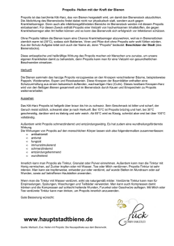 HIER - Hauptstadtbiene