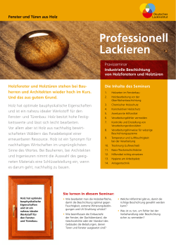 Professionell Lackieren - Deutsches Lackinstitut