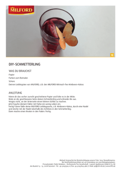 diy-schmetterling