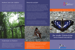 Schmetterlinge des Oldenburger Landes