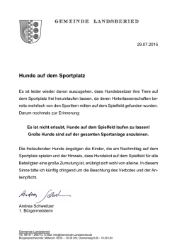 Hunde auf dem Sportplatz