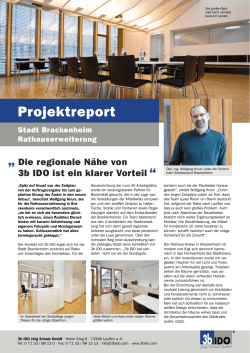 Projektreport
