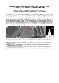 HOCHRATE MICRO CLADDING &ndash; OBERFL&Auml;CHENSTRUKTUREN