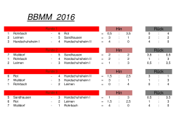 Bezirksblitzmannschaftsmeisterschaft 2015/2016