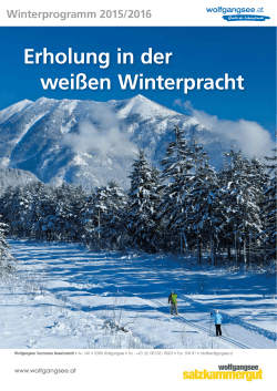 Erholung in der weißen Winterpracht - Wolfgangsee