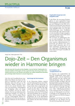 Dojo-Zeit &ndash; Den Organismus wieder in Harmonie