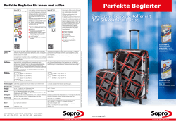 Perfekte Begleiter - Sopro Bauchemie GmbH