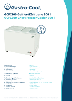 GCFC300 Gefrier-/Kühltruhe 300 l GCFC300 Chest Freezer/Cooler