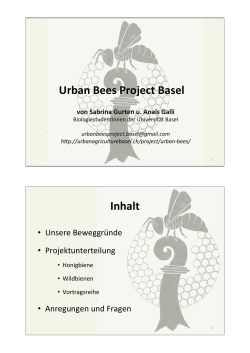 Urban Bee Project Basel» – Ein Beitrag zur