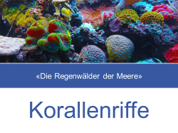 Korallenriffe