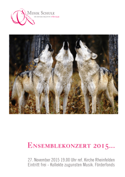 Ensemblekonzert 2015... - Musikschule Rheinfelden