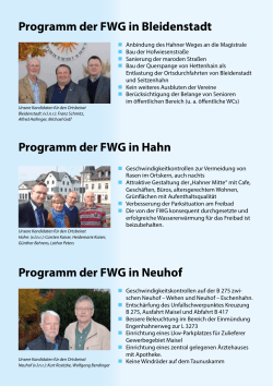 Wahlkampfflyer - Freie Wählergemeinschaft Rheingau