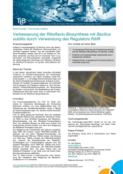 Verbesserung der Riboflavin-Biosynthese mit Bacillus subtilis