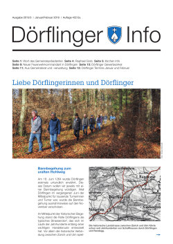 D&ouml;rflinger Info 01/2016