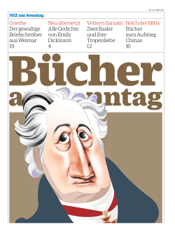 Goethe Dergewaltige Briefschreiber ausWeimar 19 Neu&uuml;bersetzt