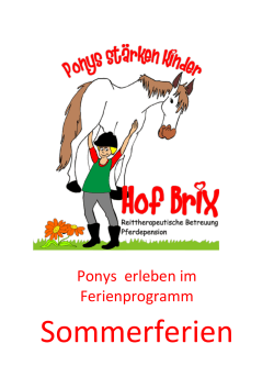 Ponys erleben im Ferienprogramm