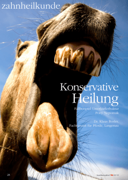 Fallbeispiel Unterkieferfraktur Pony Nepomuk
