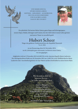 Hubert Scheer