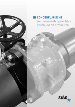 SONDERFLANSCHE zum nennweitengerechten Anschluss an