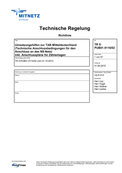 Umsetzungshilfe zur TAB Mitteldeutschland