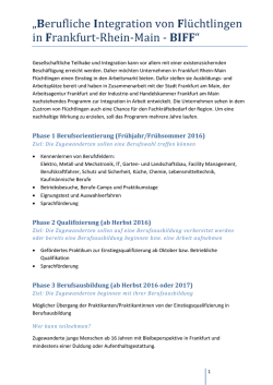 Informationsblatt BIFF