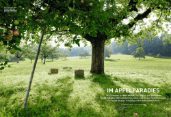 IM APFELPARADIES