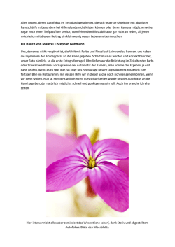 Ein Hauch von Malerei – Stephan Gohmann