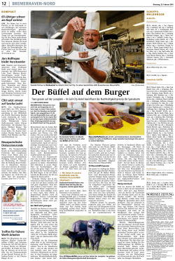 Der Büffel auf dem Burger