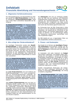 Infoblatt: Finanzielle Projektabwicklung
