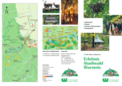 Erlebnis Stadtwald Warstein