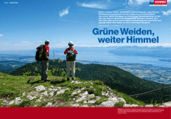 Gr&uuml;ne Weiden, weiter Himmel