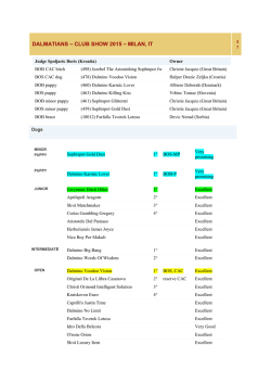 dalmatians – club show 2015 – milan, it