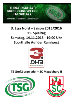 3. Liga Nord - TSG Handball