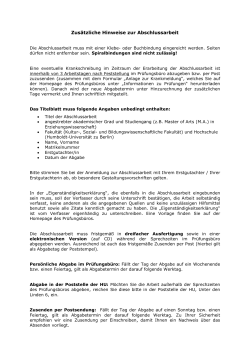 Zusätzliche Hinweise zur Abschlussarbeit
