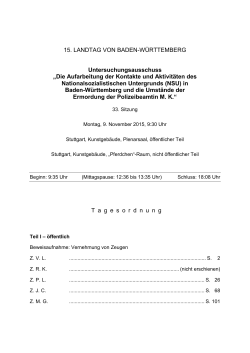Transkribiertes Protokoll vom Landtag