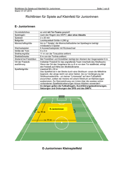 Kleinspielfeldregelungen Juniorinnen Stand 01 07 15