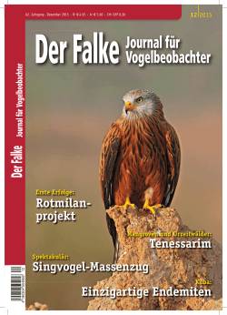 „Der Falke“ (Dezember 2015)