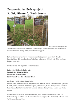 Dokumentation Bodenprojekt 3. Sek, Niveau C, Stadt Luzern