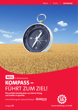 KOMPASS - führt zum Ziel!
