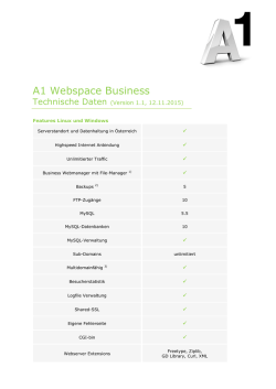 A1 Webspace Business – Technische Daten