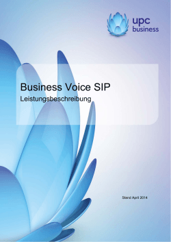 Business Voice SIP