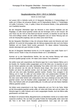Homepage SV der Stargarder Zitterh&auml;lse - sv