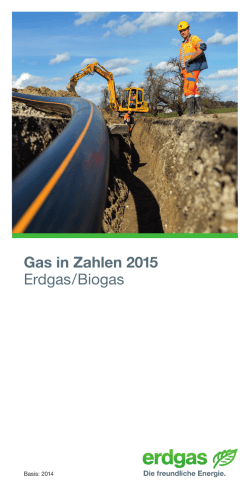 Gas in Zahlen 2015 Erdgas/Biogas