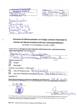 GWB Nachweis f&uuml;r Wiederverk&auml;ufer Erdgas u. Elektrizit&auml;t (USt 1TH)
