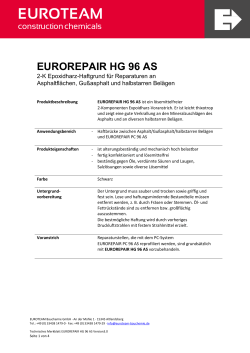 EUROREPAIR HG 96 AS Version 2.0