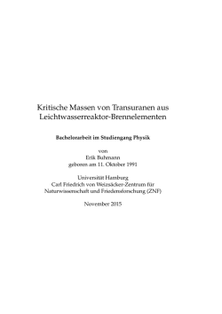 Kritische Massen von Transuranen aus Leichtwasserreaktor