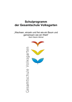 Schulprogramm der Gesamtschule Volksgarten (182,1 KiB)