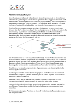 Plankton untersuchen Hinweise zu